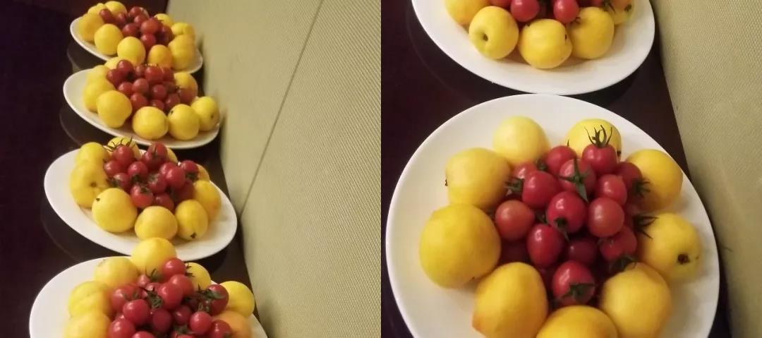 1557295414261580.jpg 8.jpg